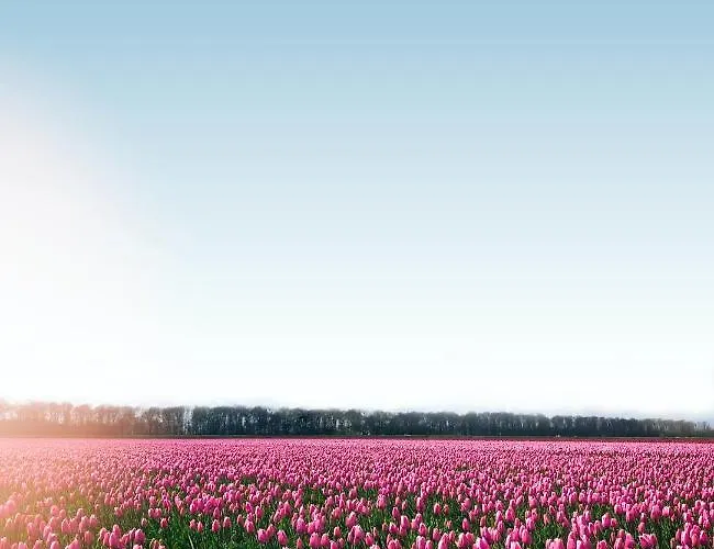 Дом отдыха Modern By Droomvilla